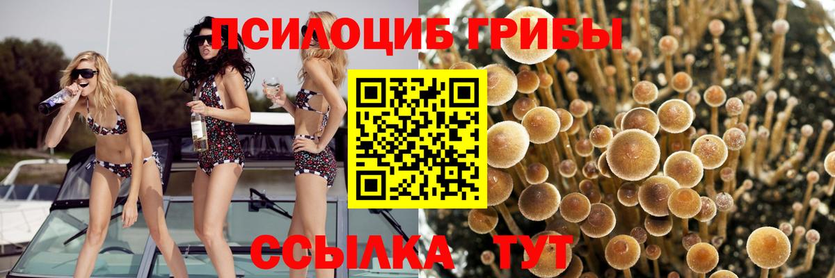 Псилоцибиновые грибы ЛСД Пушкино