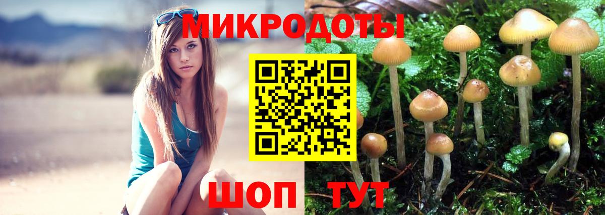 Галлюциногенные грибы мицелий  Псилоцибиновые грибы Psilocybine cubensis  Вход с VPN  Пушкино 